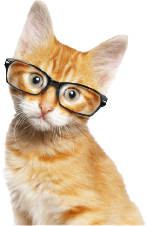 Cat 0-0